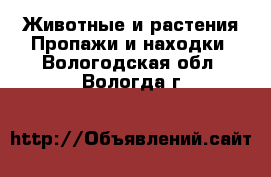 Животные и растения Пропажи и находки. Вологодская обл.,Вологда г.